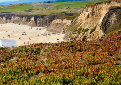 Exploring the Geology of Half Moon Bay