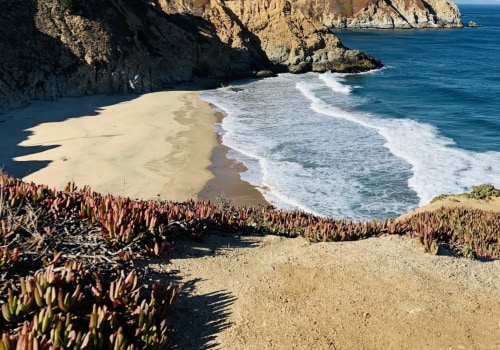 Exploring Montara State Beach